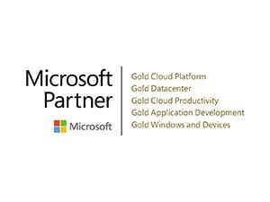 Microsoft Gold-logo-300x225