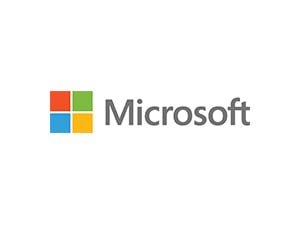 Microsoft-300x225 copy