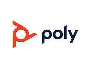 Poly-300x225-1