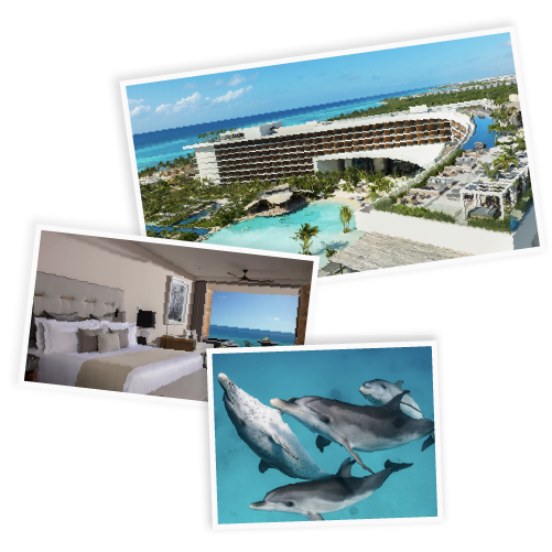 ZC2026-SupportImages